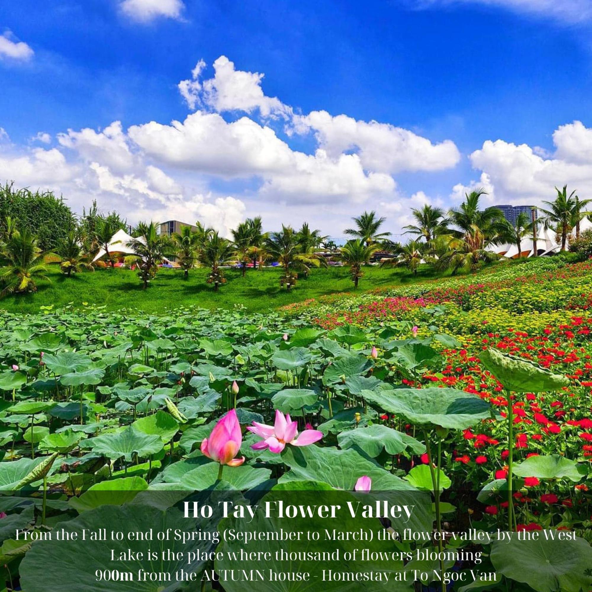 The Autumn House - Homestay At To Ngoc Van — Photos 2